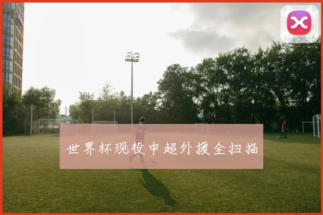 世界杯现役中超外援全扫描