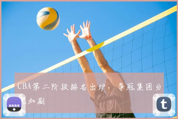 CBA第二阶段排名出炉，争冠集团分化加剧