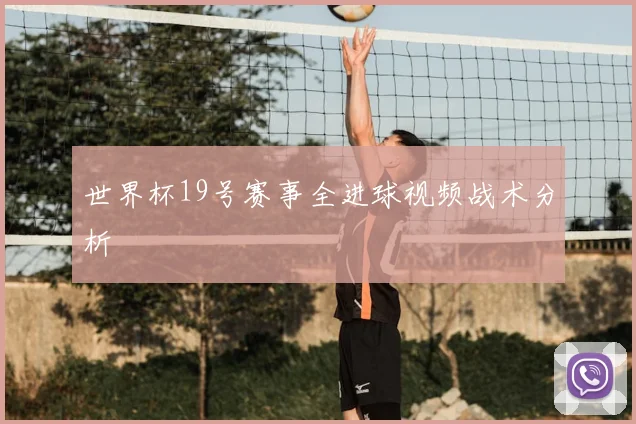 世界杯19号赛事全进球视频战术分析
