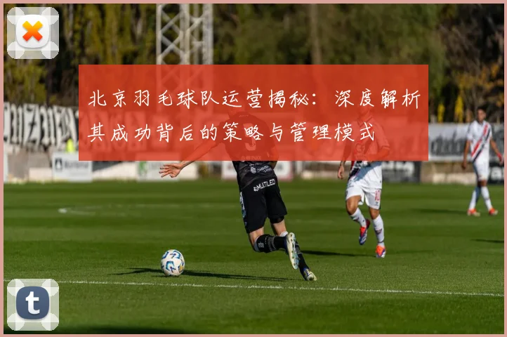 北京羽毛球队运营揭秘：深度解析其成功背后的策略与管理模式