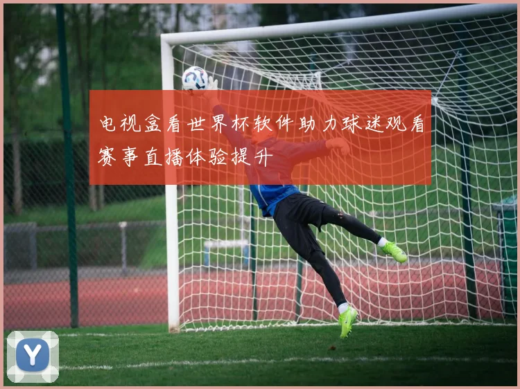电视盒看世界杯软件助力球迷观看赛事直播体验提升